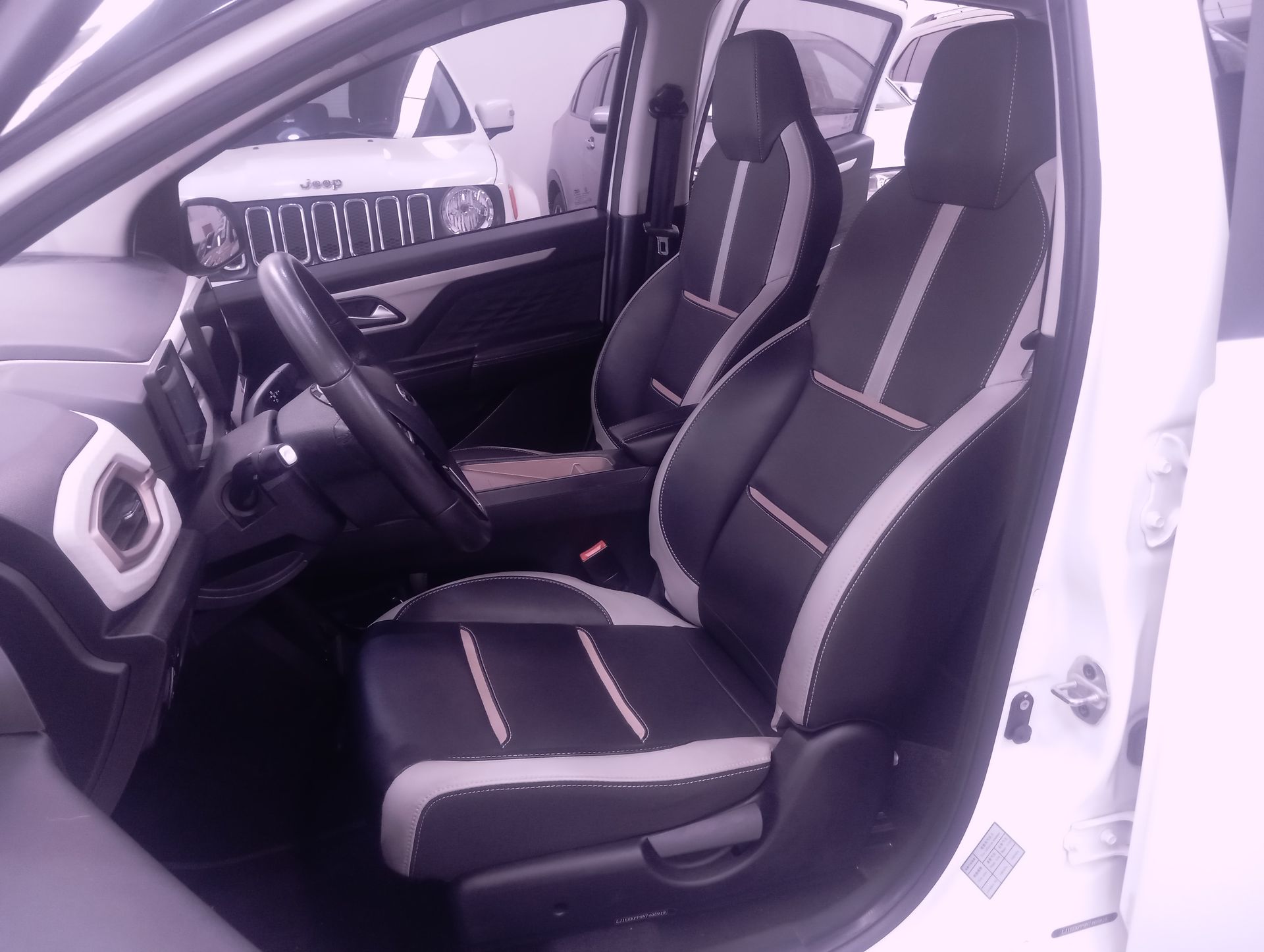 2022 JAC E10X Electrico 30 Kwh At